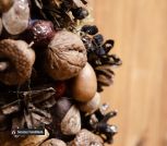 photo_2022-11-29_22-47-53