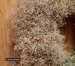 photo_2022-11-29_22-47-27