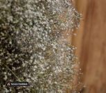 photo_2022-11-29_22-47-31