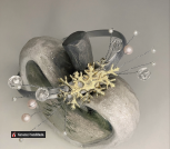 BF645E59-EC7A-4BFF-A5E3-BE73784E3EE2