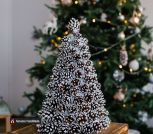 469e3147f300ab9473e559c87bfc3720