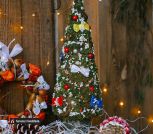 af971214141b8ad1b0003673f26ed1d1