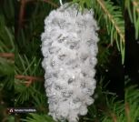 IMG-691a205d730703eddca871783c1b8f0a-V