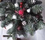 IMG_20221213_125528_385