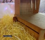 IMG-dcd502cab4b603d011f5fb1f85f7ce50-V