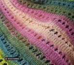 328582854_554665139972348_8193689339750644112_n