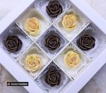 IMG_20230221_002230_409