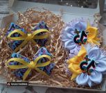 IMG_20230227_193426_365