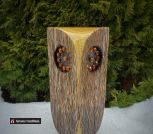 IMG_20230219_145909_690