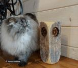 IMG_20230219_150002_902