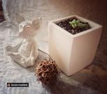 inbound2236233436837537680