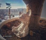 inbound7857840952549519068