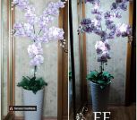 IMG_20230502_090102_643