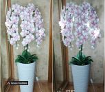 IMG_20230502_090102_660