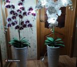 IMG_20230502_090102_695