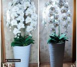 IMG_20230502_090102_716