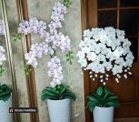 IMG_20230502_090102_728