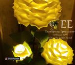 IMG_20230528_115238_174