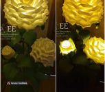 IMG_20230528_115238_225