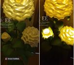 InShot_20230528_114659636