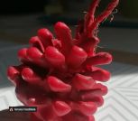 IMG_20230609_181057_263