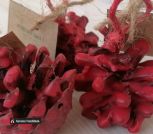 IMG_20230609_181057_298