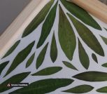 IMG_20230611_120608_394