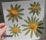 IMG_20230612_205846_907