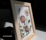 IMG_20230526_233100_056