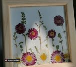 IMG_20230526_233301_119