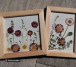 IMG_20230526_233427_577