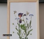 IMG_20230615_181521_908