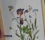 IMG_20230615_181521_973