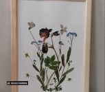 IMG_20230615_181521_979