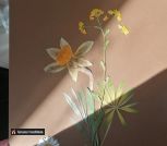 IMG_20230616_084844_340