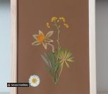 IMG_20230616_084844_347