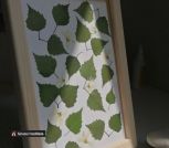 IMG_20230618_102246_515