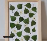 IMG_20230618_102246_554