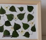 IMG_20230618_102246_559