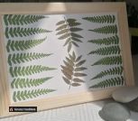 IMG_20230620_095834_005