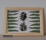 IMG_20230620_095834_032