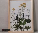 IMG_20230614_155840_edit_1181568878285846