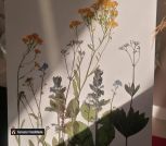 IMG_20230621_132629_476