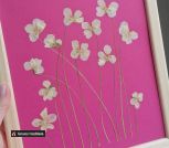 IMG_20230622_161409_419