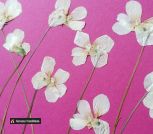 IMG_20230622_161409_424