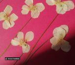 IMG_20230622_161409_431