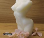 Screenshot_20231026_113433_edit_280273331841675