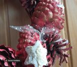 IMG_20231124_113759_1