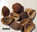 IMG_20231202_111027_1