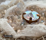 photo_2024-01-13 17.20.40